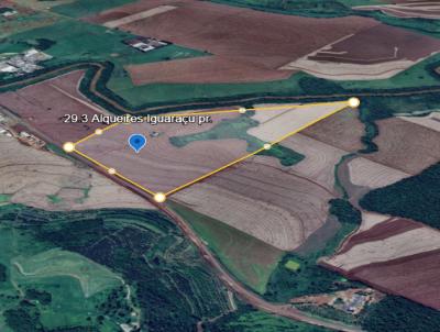 Fazenda para Venda, em Iguarau, bairro zona rural