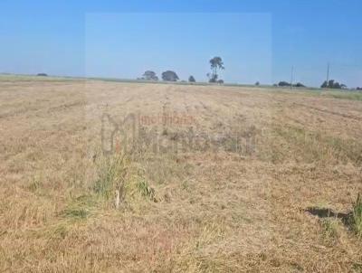 rea Rural para Venda, em , bairro PRXIMO AO CONDOMNIO ESMERALDA PARK