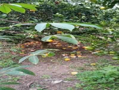 Chcara para Venda, em Suzano, bairro Jardim Esperana, 3 dormitrios, 2 banheiros, 2 vagas