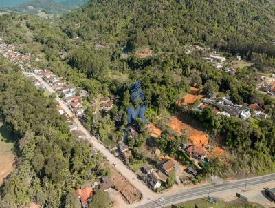 Terreno para Venda, em Timb, bairro Padre Martinho Stein