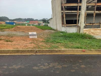 imagem-miniatura