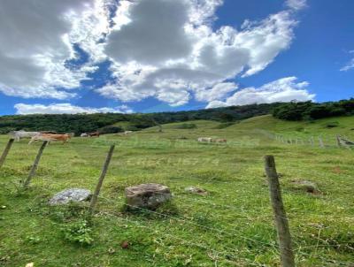 Terreno Rural para Venda, em Conceio dos Ouros, bairro Quilombo