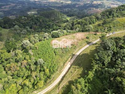 Chcara para Venda, em , bairro Pomerana