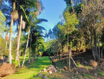 Terreno para Venda, em , bairro Encantada