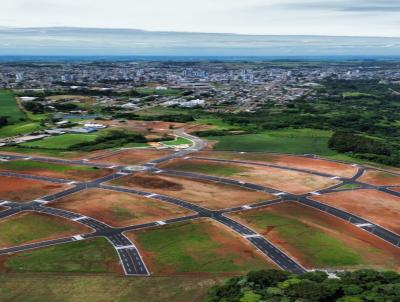 Terreno para Venda, em , bairro Aparecida