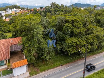 Terreno para Venda, em Indaial, bairro Benedito