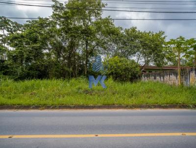 Terreno para Venda, em Indaial, bairro Benedito