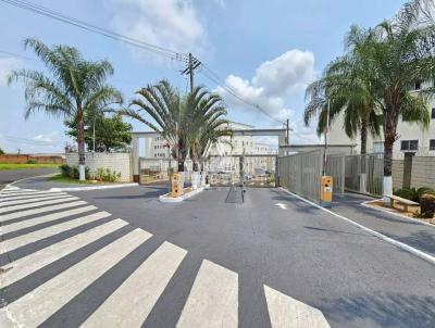 Apartamento para Locao, em , bairro Higienpolis, 2 dormitrios, 1 banheiro, 1 vaga