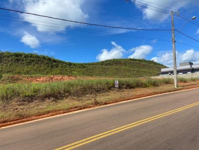 Terreno para Venda, em Rio dos Cedros, bairro Divinia
