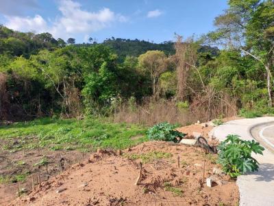 Terreno para Venda, em , bairro Itapetinga