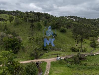 Terreno para Venda, em Rio dos Cedros, bairro Alto Palmeiras