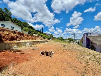 Terreno para Venda, em , bairro Primo Tacca