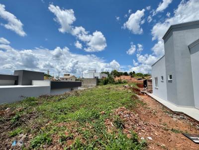 Terreno para Venda, em , bairro Tacca