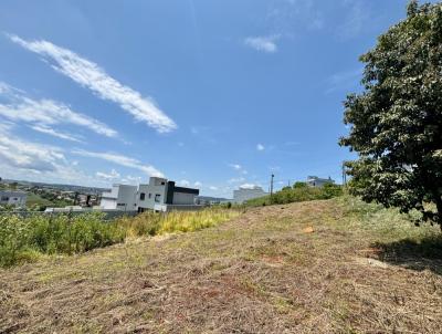 Terreno para Venda, em , bairro Vila Ssamo