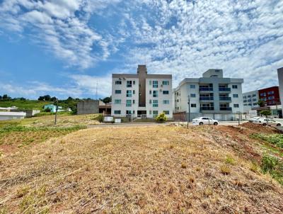 Terreno para Venda, em , bairro Jardin Tarum
