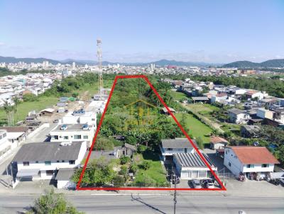 Terreno para Venda, em , bairro Murta