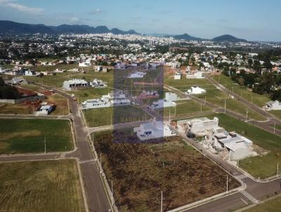 Lote para Venda, em , bairro Pinheiro Machado