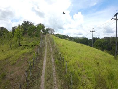 Fazenda para Venda, em , bairro Centro