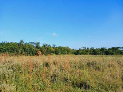 Fazenda para Venda, em , bairro 