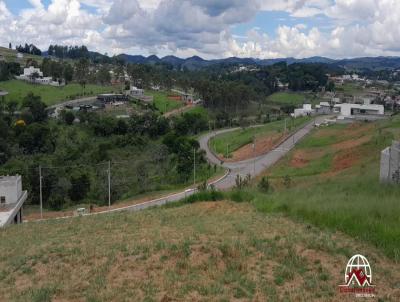imagem-miniatura