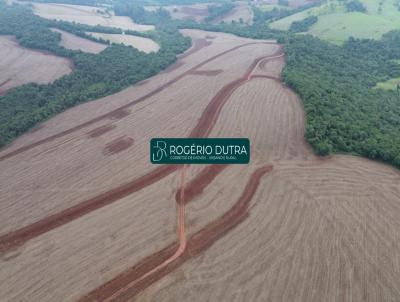 Fazenda para Venda, em Londrina, bairro ZONA RURAL