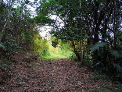Sítio / Chácara para Venda, em Timbó, bairro