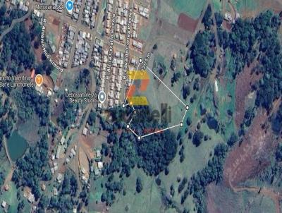Chcara para Venda, em Guarapuava, bairro Palmeirinha