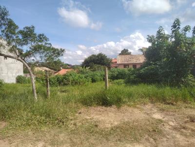 imagem-miniatura