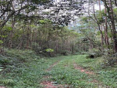 Terreno Rural para Venda, em Ibiúna, bairro Verava