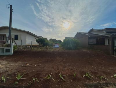 Terreno para Venda, em Xanxer, bairro So Jorge