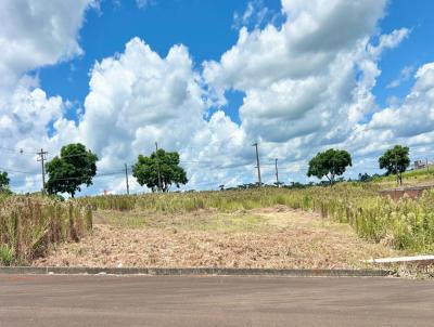 Terreno para Venda, em Xanxer, bairro So Pedro