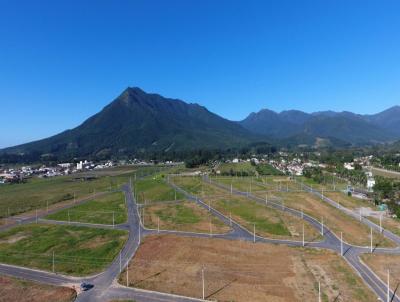 Loteamento para Venda, em Palhoa, bairro Guarda do Cubato