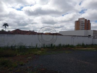 Terreno Comercial para Venda, em Arax, bairro Centro