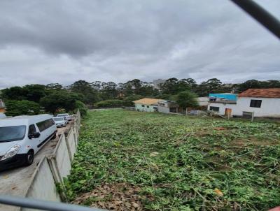 Terreno para Venda, em So Paulo, bairro Vila Carmosina