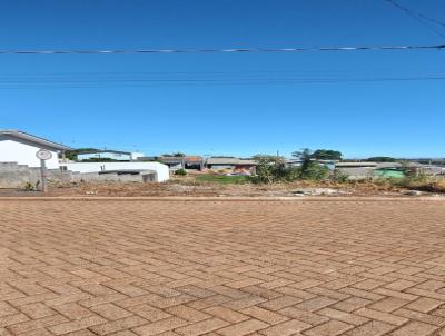 Terreno para Venda, em Xanxer, bairro Tacca