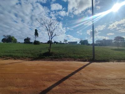 imagem-miniatura