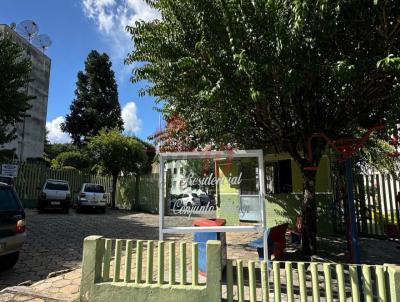 imagem-miniatura