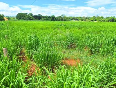 Chcara para Venda, em Tapurah, bairro .
