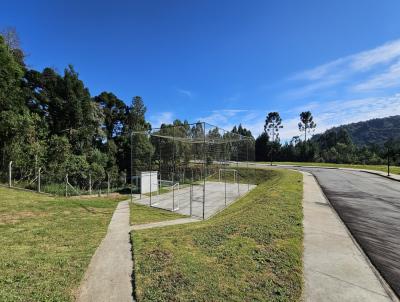 Terreno para Venda, em S�o Bento do Sul, bairro Brasilia