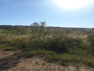 Terreno para Venda, em Horizontina, bairro Osvaldo Cruz