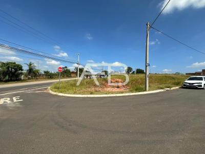 imagem-miniatura