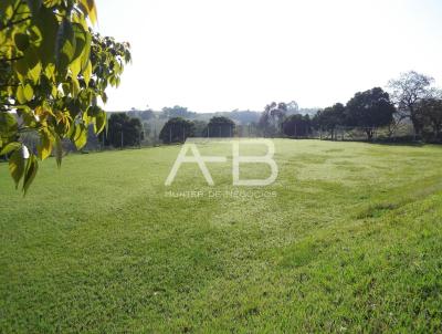 Terreno Comercial para Venda, em Boituva, bairro Boa Vista, 5 dormitrios, 7 banheiros, 5 sutes