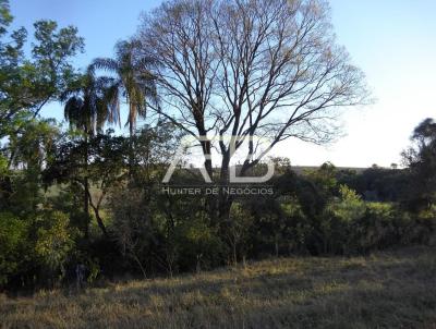 Terreno Comercial para Venda, em Boituva, bairro rea Rural de Boituva, 5 dormitrios, 3 banheiros