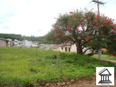 Terreno para Venda, em Santa Cruz do Sul, bairro Arroio Grande