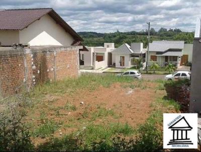 imagem-miniatura