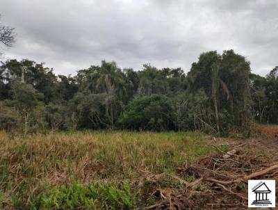 Terreno para Venda, em Santa Cruz do Sul, bairro Cerro Alegre