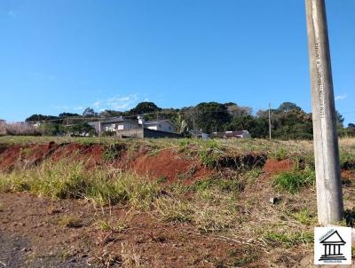 imagem-miniatura