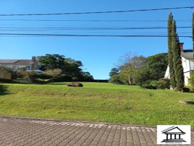 Terreno para Venda, em Santa Cruz do Sul, bairro Jardim Europa