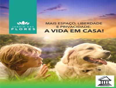 imagem-miniatura
