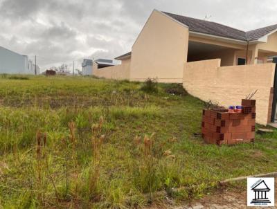 Terreno para Venda, em Vera Cruz, bairro Loteamento Terra Vista